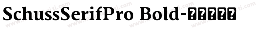 SchussSerifPro Bold字体转换